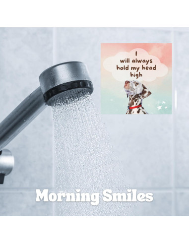 Tarjetas de Afirmación Impermeables Catchyourdreams - 50 Mensajes Positivos