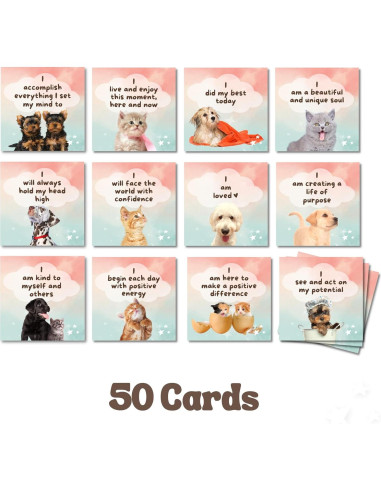 Tarjetas de Afirmación Impermeables Catchyourdreams - 50 Mensajes Positivos