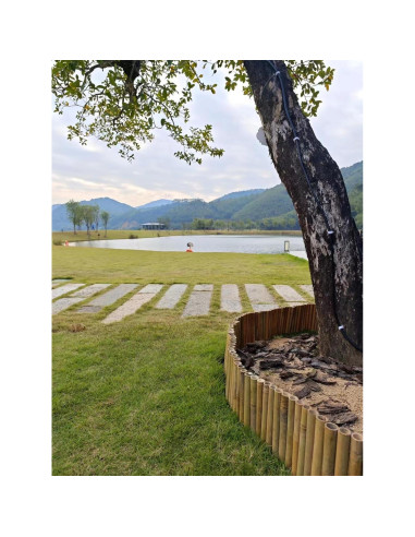 Bordes de Jardín de Bambú Natural HTWNK 2 Piezas 20 cm Altura