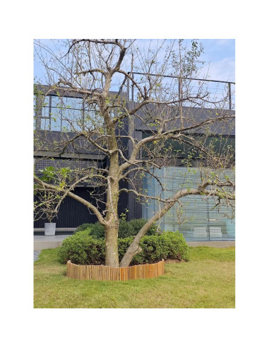 Bordes de Jardín de Bambú Natural HTWNK 2 Piezas 20 cm Altura