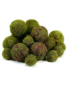 Conjunto de 18 Bolas de Musgo Decorativas BYHER - Verde