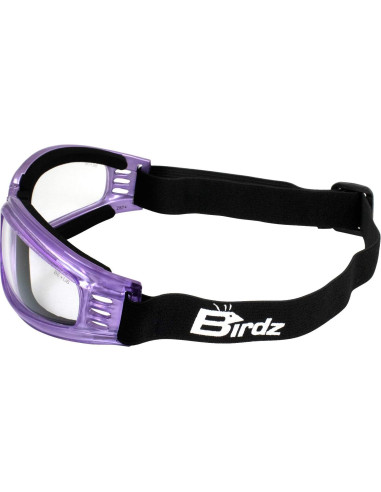 Gafas de Motocicleta Birdz Cardinal para Mujeres - 2 Pares Moradas
