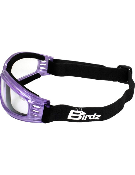 Gafas de Motocicleta Birdz Cardinal para Mujeres - 2 Pares Moradas