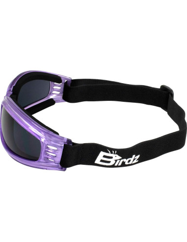 Gafas de Motocicleta Birdz Cardinal para Mujeres - 2 Pares Moradas