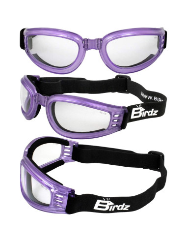 Gafas de Motocicleta Birdz Cardinal para Mujeres - 2 Pares Moradas