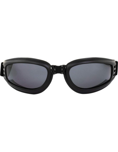 Gafas de Motocicleta Birdz Cardinal para Mujeres - 3 Pares