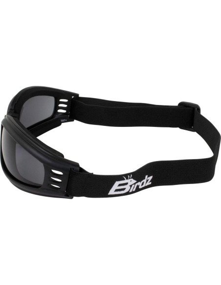 Gafas de Motocicleta Birdz Cardinal para Mujeres - 3 Pares Gafas de Motocicleta Birdz Cardinal para Mujeres - 3 Pares