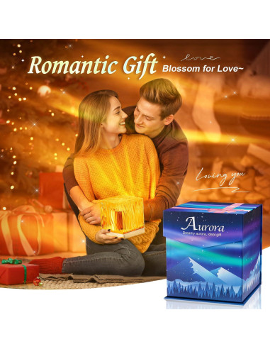 Proyector de Luces del Norte Mubarek 18 Colores 162 Modos