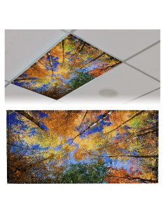 Cubierta de Luz Fluorescente Patelai 1.22 x 0.61 m Otoño