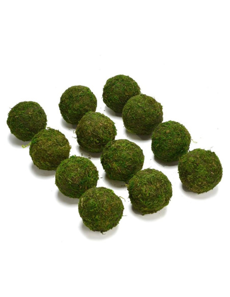 Bolas Decorativas de Musgo Natural BYHER - Set de 12 (5.08 cm)