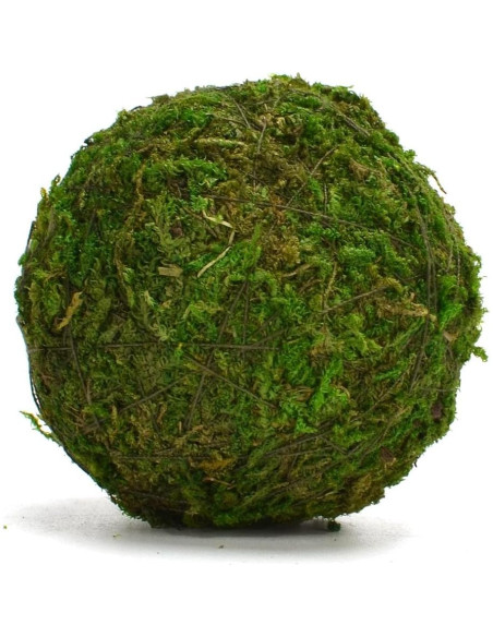 Bolas Decorativas de Musgo Natural BYHER - Set de 12 (5.08 cm)