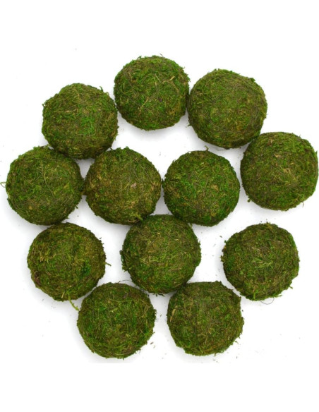Bolas Decorativas de Musgo Natural BYHER - Set de 12 (5.08 cm)