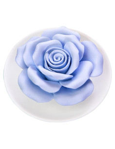 Difusor de Aromaterapia Pasivo Oumeiben Cerámica Rosa Azul