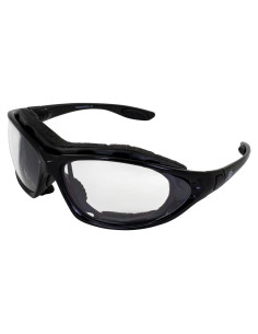 Gafas de Motocicleta Birdz Eyewear Thrasher - Lentes Claras