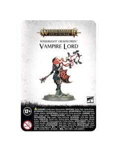 Warhammer AoS Señor Vampiro Soulblight Gravelords 40mm