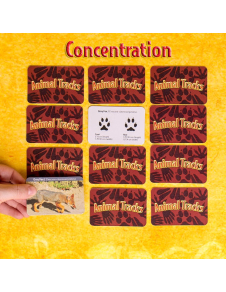 Juego de Huellas de Animales Club de los Jóvenes Científicos 80 Tarjetas Juego de Huellas de Animales Club de los Jóvenes Científicos 80 Tarjetas