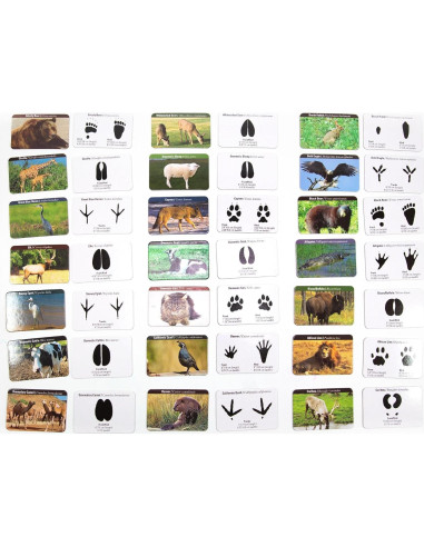 Juego de Huellas de Animales Club de los Jóvenes Científicos 80 Tarjetas