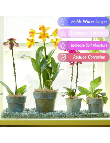 Musgo Sphagnum Premium Halatool 85 g para Plantas 4 qt