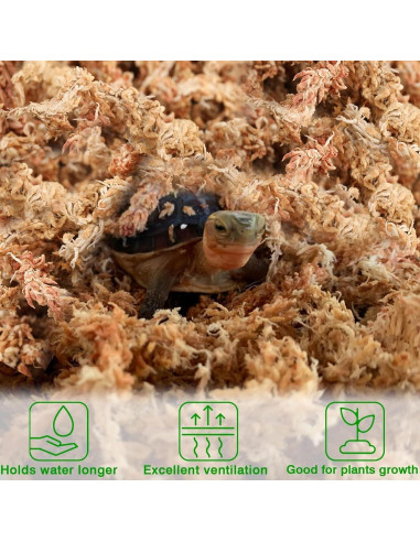 Musgo Sphagnum Premium Halatool 85 g para Plantas 4 qt