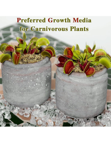 Musgo Sphagnum Premium Halatool 85 g para Plantas 4 qt