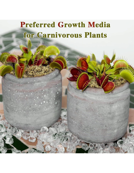 Musgo Sphagnum Premium Halatool 85 g para Plantas 4 qt