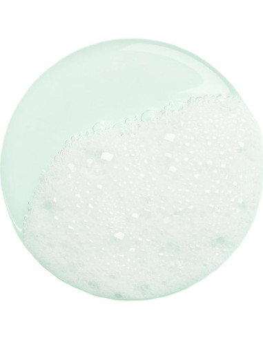 Gel de Ducha Recargable Hermes Un Jardin Sur Le Nil 184g