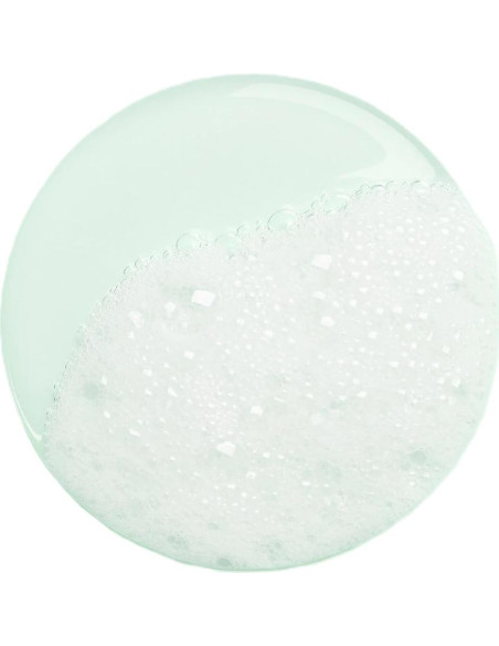 Gel de Ducha Recargable Hermes Un Jardin Sur Le Nil 184g