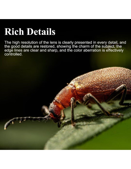 Lente Macro 60mm F2.8 2X 7artisans para Sony E