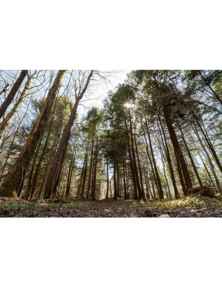 Lente Sigma 16-28mm f/2.8 DG DN para Sony E - Ultra Ancho