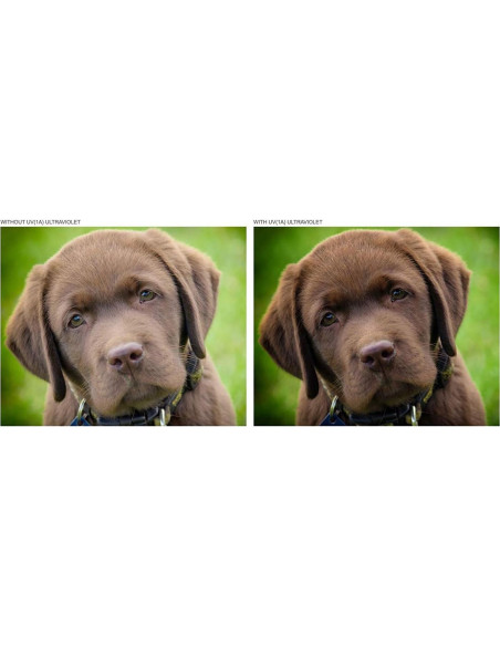 Lente Telefoto 2.2X Digital Nc para Panasonic Lumix + Kit de Filtros Lente Telefoto 2.2X Digital Nc para Panasonic Lumix + Kit de Filtros