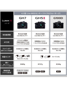 Cámara sin espejo Panasonic LUMIX G100 20.3MP 4K + 2 Lentes 2