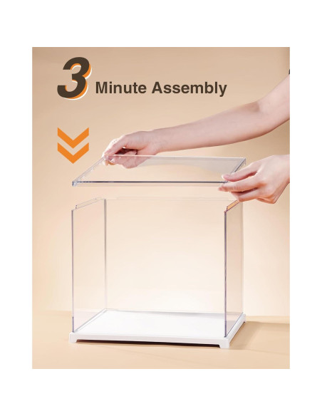 Caja de Exhibición Rolife para Miniaturas 28.7x24.4 cm