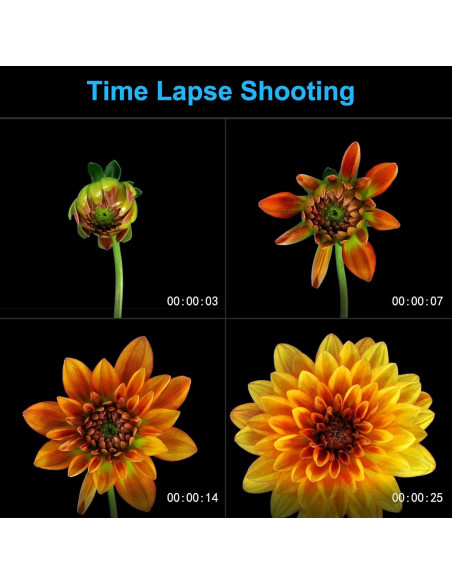 Deslizador de Cámara Motorizado GVM 78.74 cm Control APP