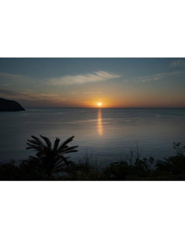 Lente Sigma 28-45mm f1.8 DG DN Art para Sony E - Ultra Rápido