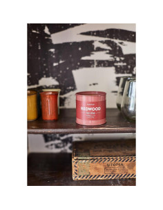 Vela Aromática de Soja Paddywax Secuoyas 170g - Hecha en EE. UU. 2