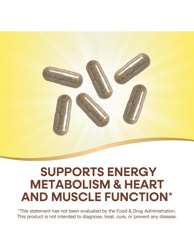 Nature's Way Alive! Max6 Multivitamina Completa 90 Cápsulas