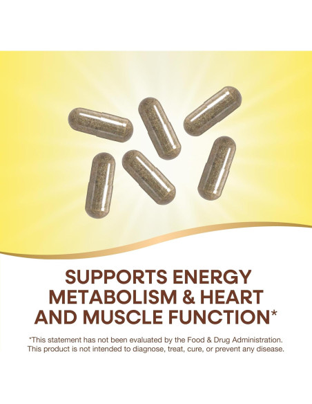 Nature's Way Alive! Max6 Multivitamina Completa 90 Cápsulas Nature's Way Alive! Max6 Multivitamina Completa 90 Cápsulas