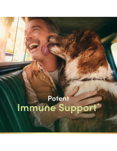 Quercetina Nature's Bounty 500mg con Vitamina C 60 Cápsulas 2