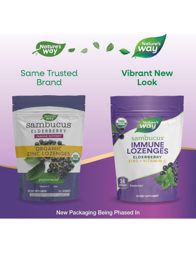 Lozenges de Zinc y Vitamina C Nature's Way 24 Unidades