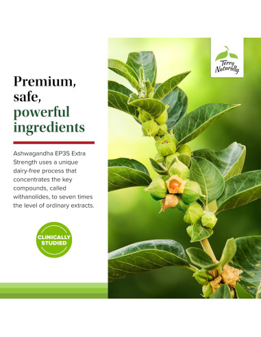 Suplemento Herbal Terry Naturally Ashwagandha EP35 60 Cápsulas
