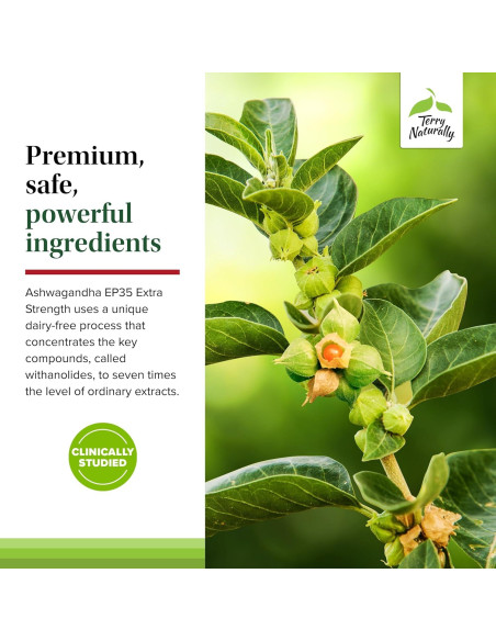 Suplemento Herbal Terry Naturally Ashwagandha EP35 60 Cápsulas