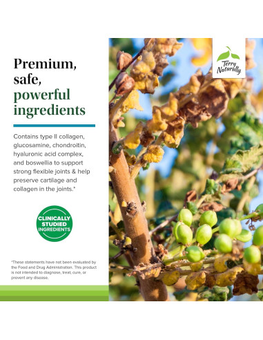 Suplemento de colágeno Terry Naturally Be Mobile - 60 cápsulas