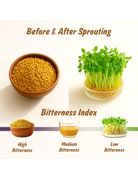 Semillas de Fenogreco Orgánicas 113.4g - Spice Profile LLC