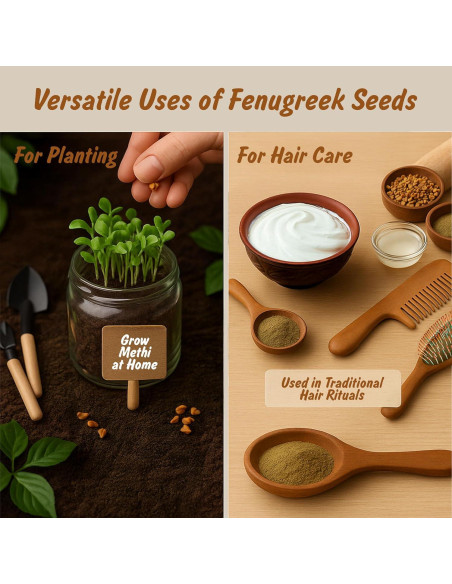 Semillas de Fenogreco Orgánicas 113.4g - Spice Profile LLC