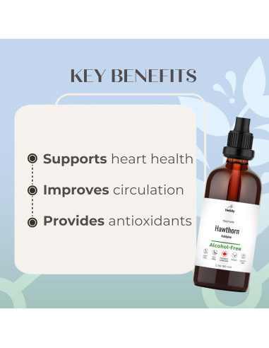 Tintura de Baya de Espino Herbity 50 ml - Vegana y Sin Gluten