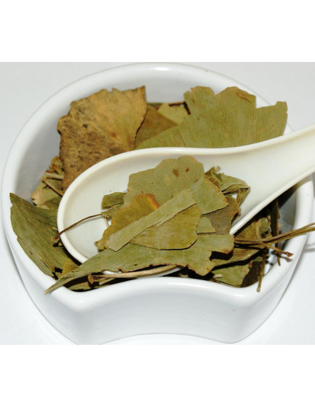 Hoja de Ginkgo Biloba Orgánica Shender Group 100g - Té Herbal
