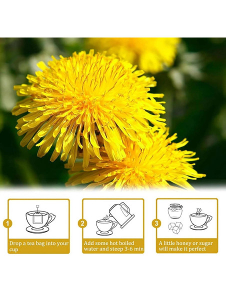 Té de Goji Berry y Crisantemo HAIION 125g - Salud del Hígado