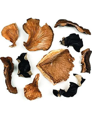 Champiñones Porcini Secos Premium Roland 40g - Sabor Intenso