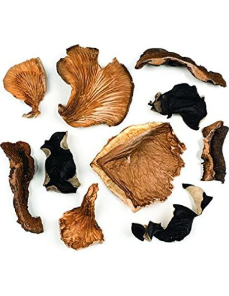 Champiñones Porcini Secos Premium Roland 40g - Sabor Intenso