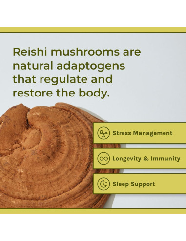 Suplemento de Hongo Reishi Naturealm - 90 Cápsulas Veganas